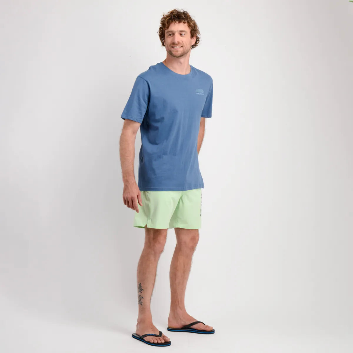 Traje De Baño Hombre Volley Staple 16" Verde Claro