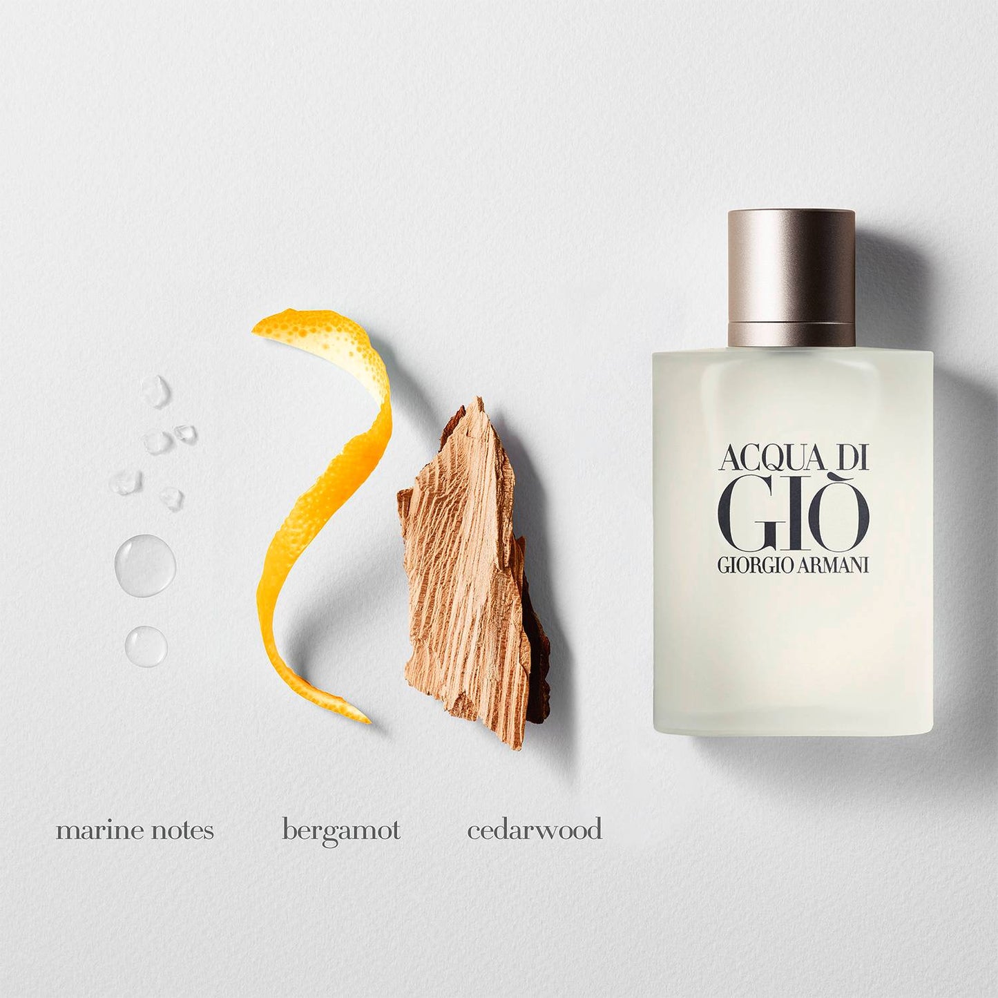 Perfume Hombre Acqua Di Gio EDT 100 ml