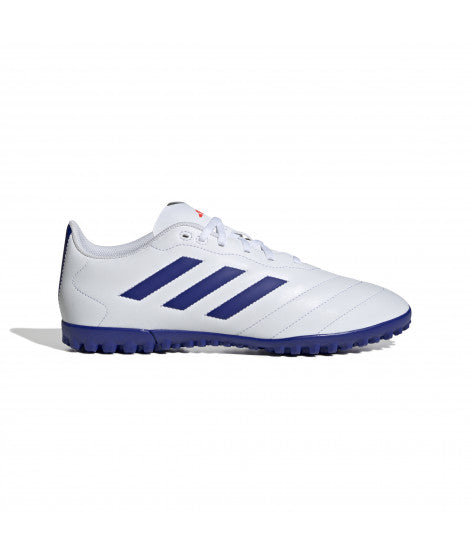 Zapatos Hombre Fútbol Goletto Viii Tf Pasto Sintético Azul
