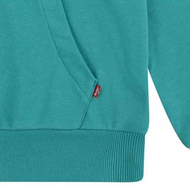 Poleron Niño Hoodie Batwing 81E910-F4U-4 Verde