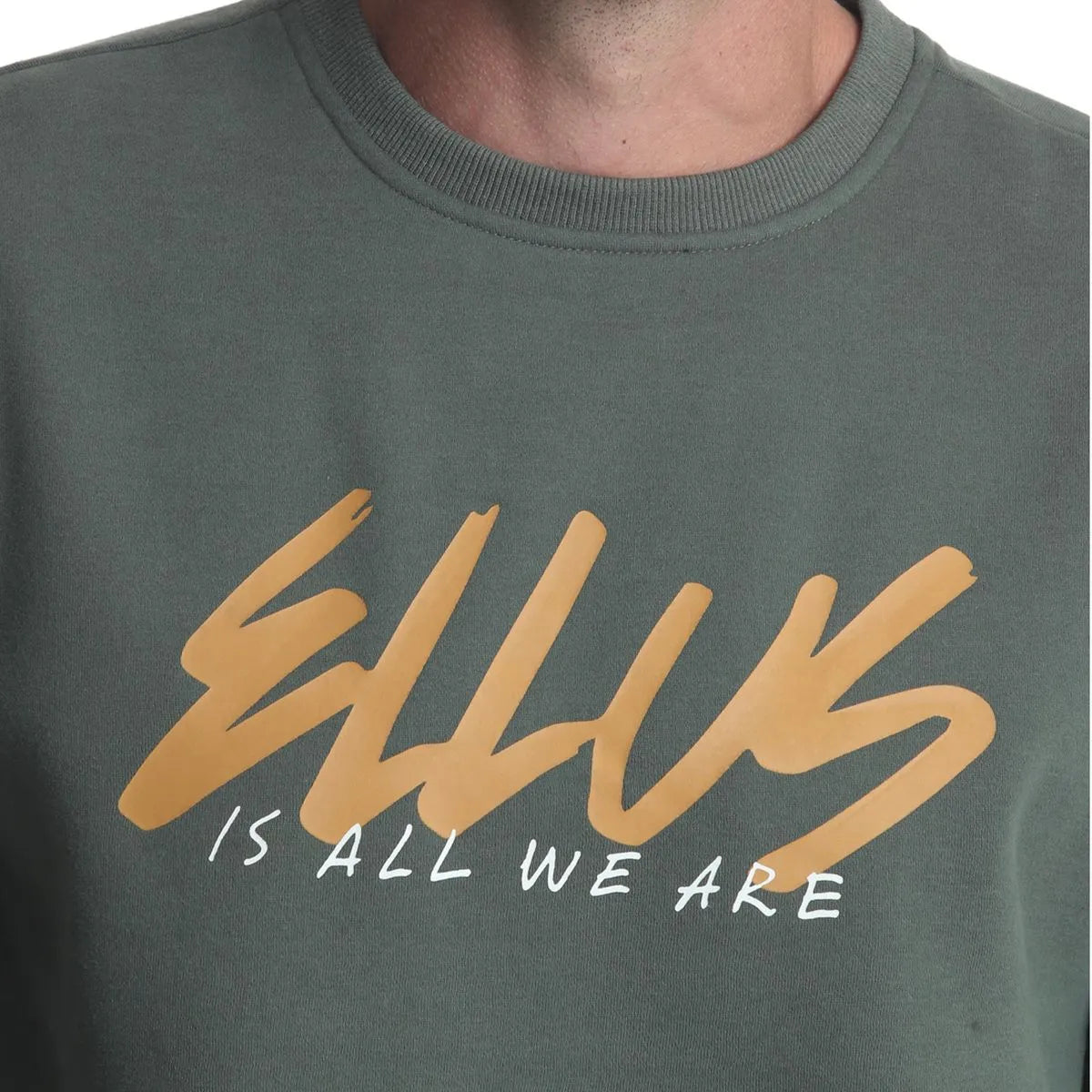 polerón-crew-neck-fleece-silicone-wash-verde