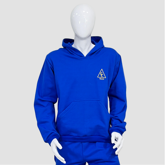 Polerón Buzo Colegio Concepción