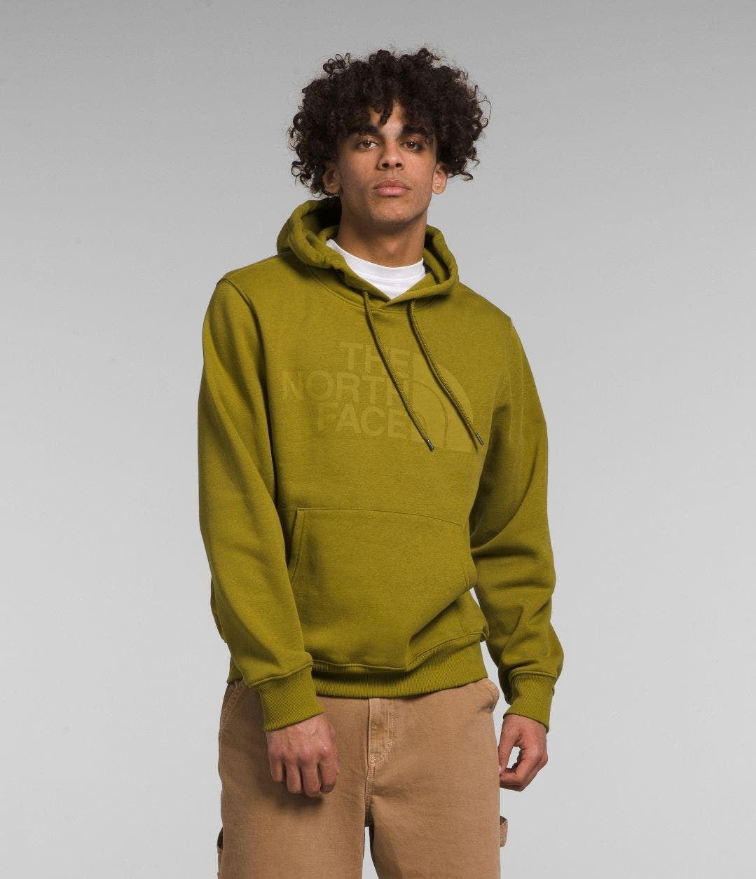 Polerón Hombre Half Dome Pullover Pistacho