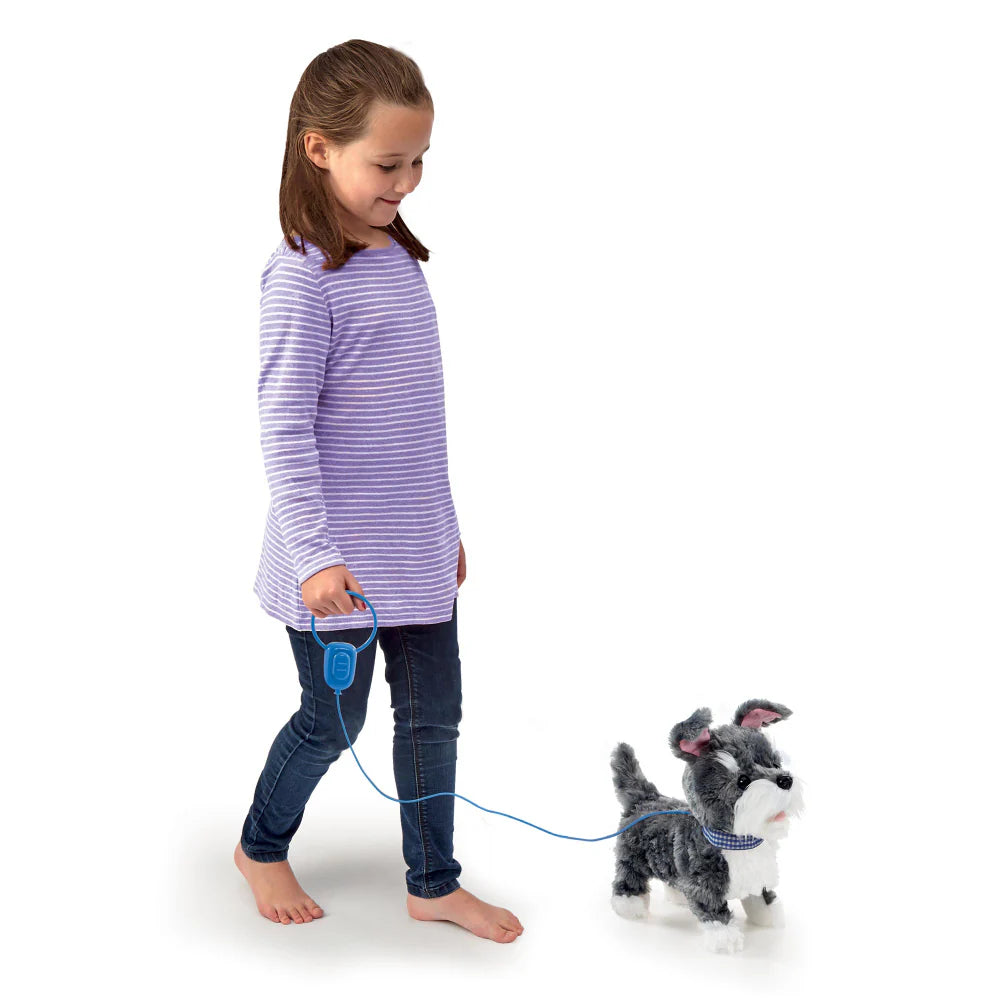 Perro Scottie Camina Y Ladra