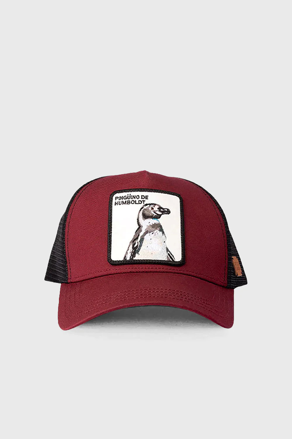 Jockey Pingüino de Humboldt Burgundy