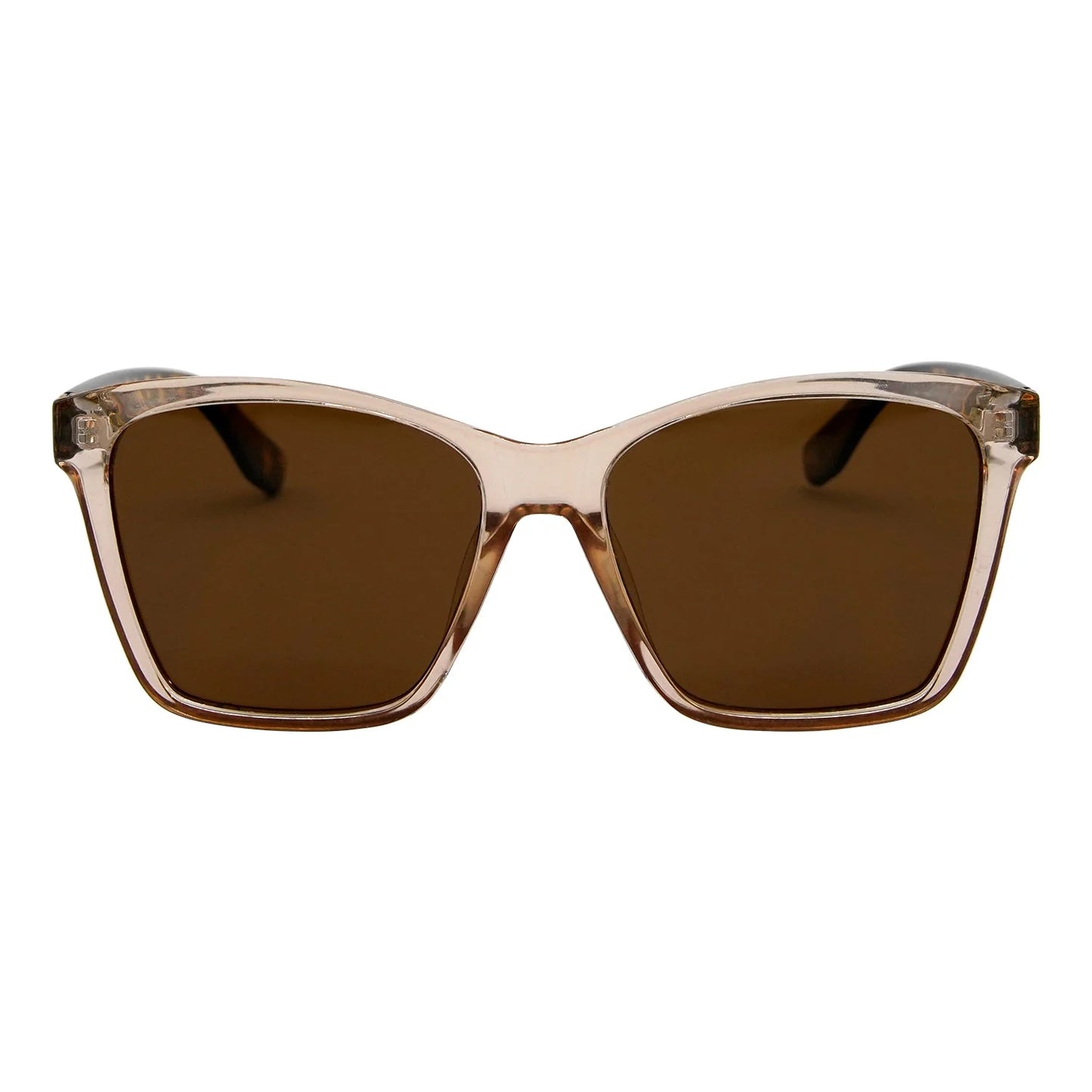 Lentes de Sol Unisex Wayfare BD219C4 Café