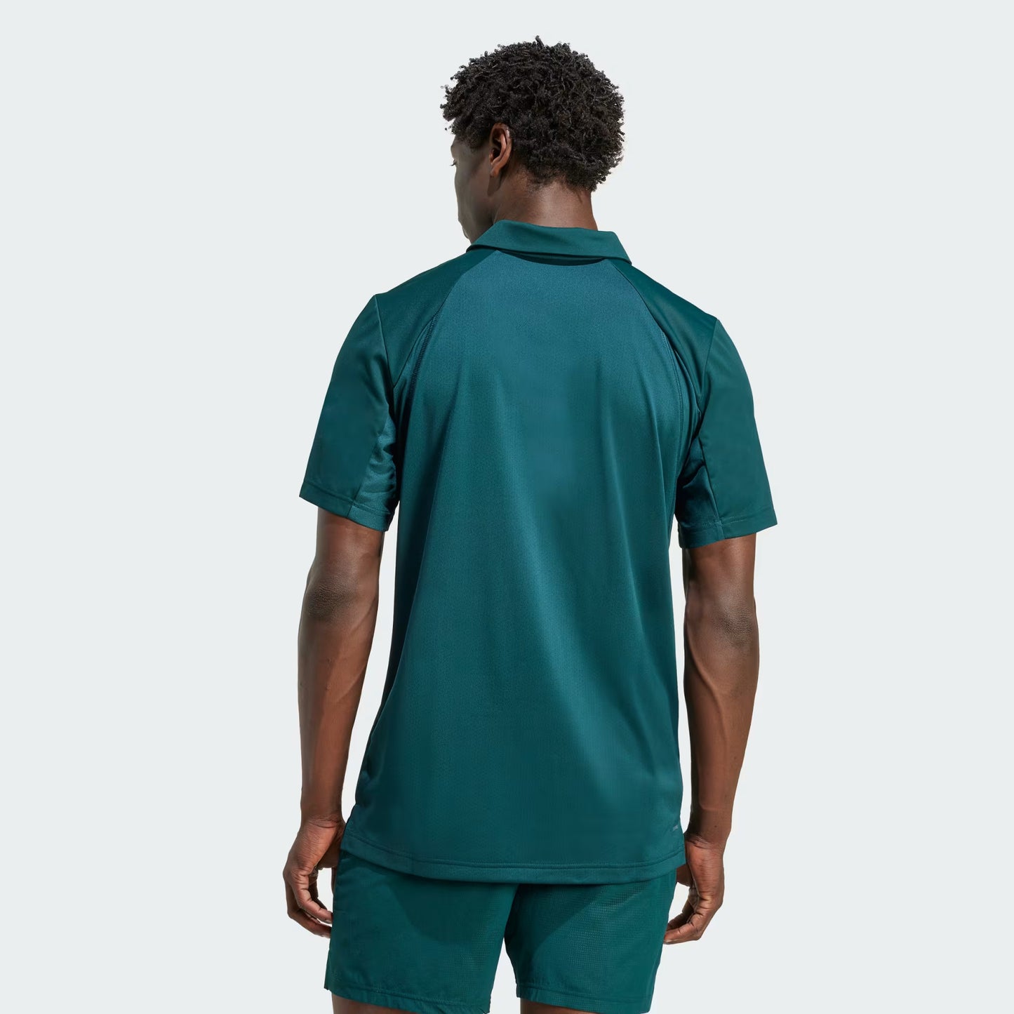 Polera Hombre Cuello Club Tenis Verde Oscuro