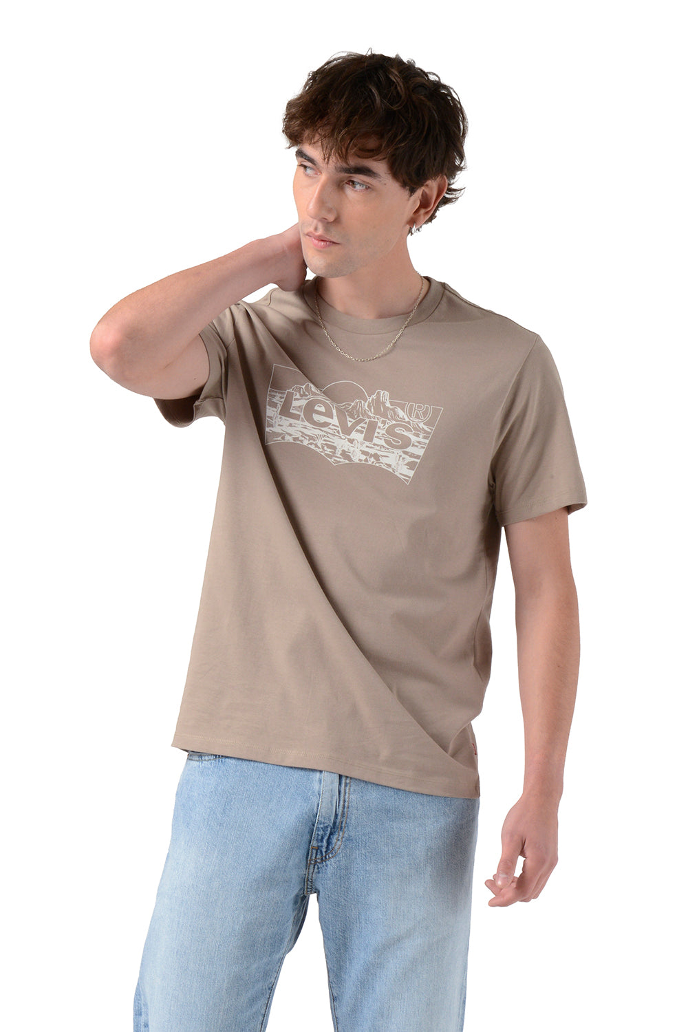 polo-hombre-graphic-crewneck-tee-café