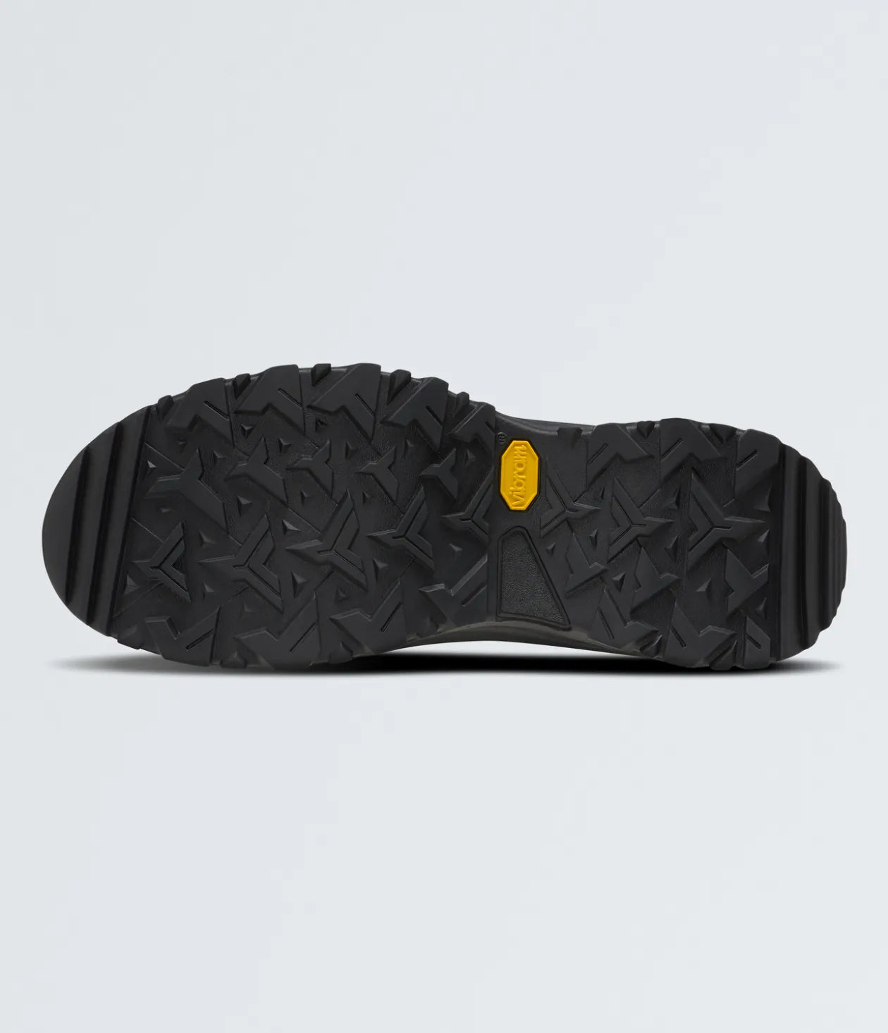 Zapatilla Hombre Hedgehog Gore-Tex Tnf Black/Asphalt Grey