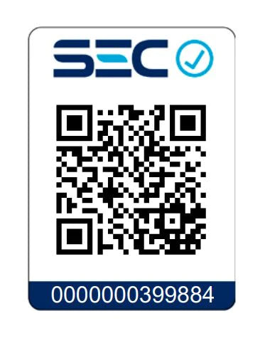 Manta eléctrica cuadrille 120x160 cm