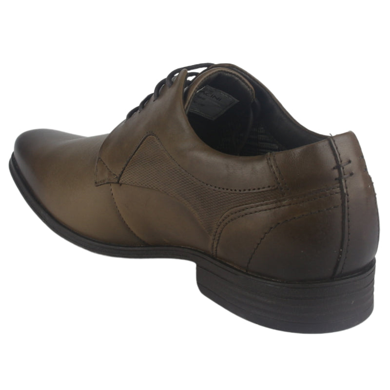 Zapato Hombre con Cordon 6067  Café Tabaco