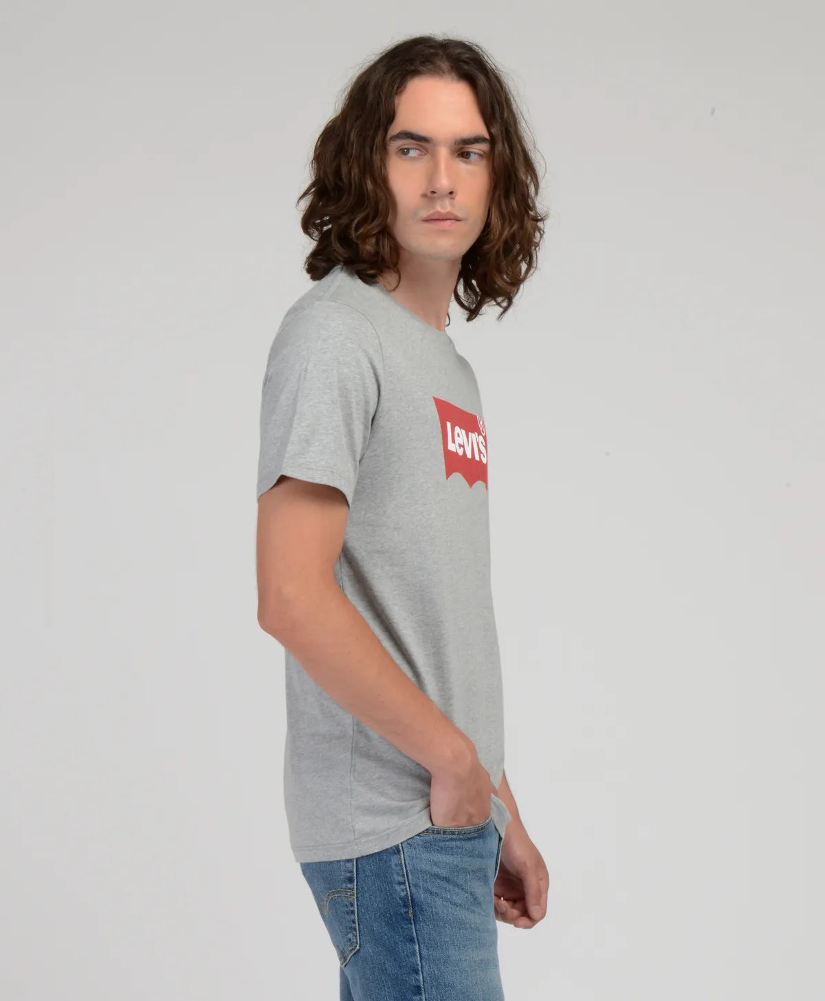 polera-hombre-levi's-lisa-con-logo-gris