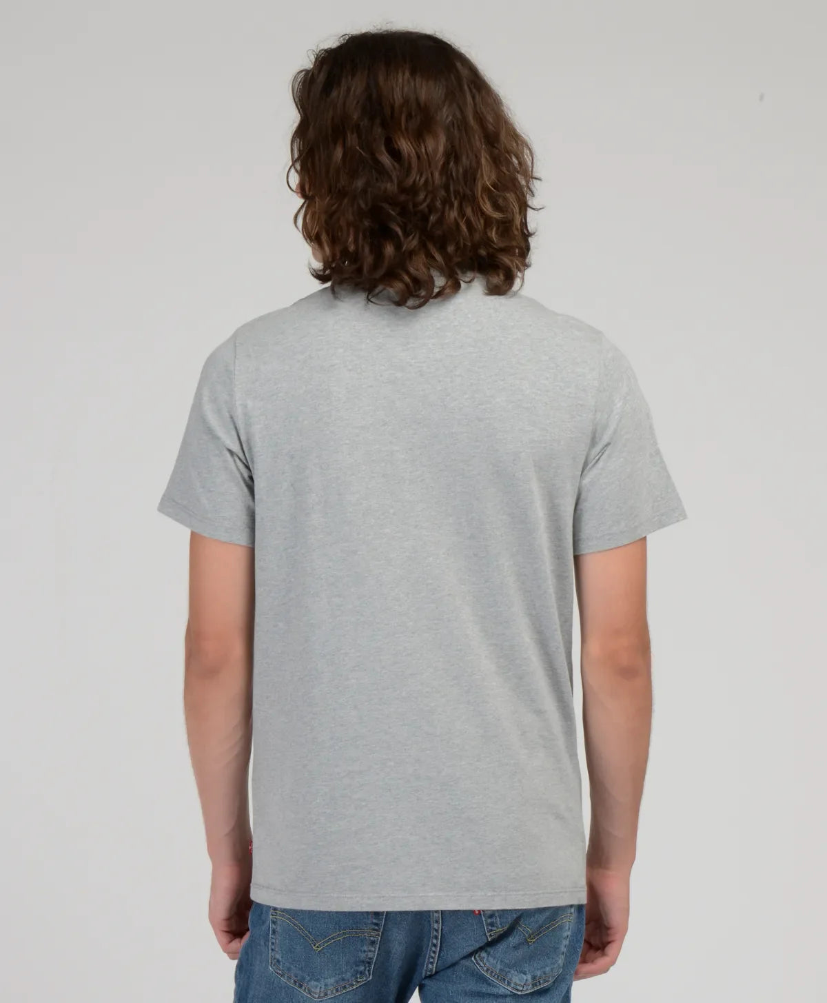 polera-hombre-levi's-lisa-con-logo-gris