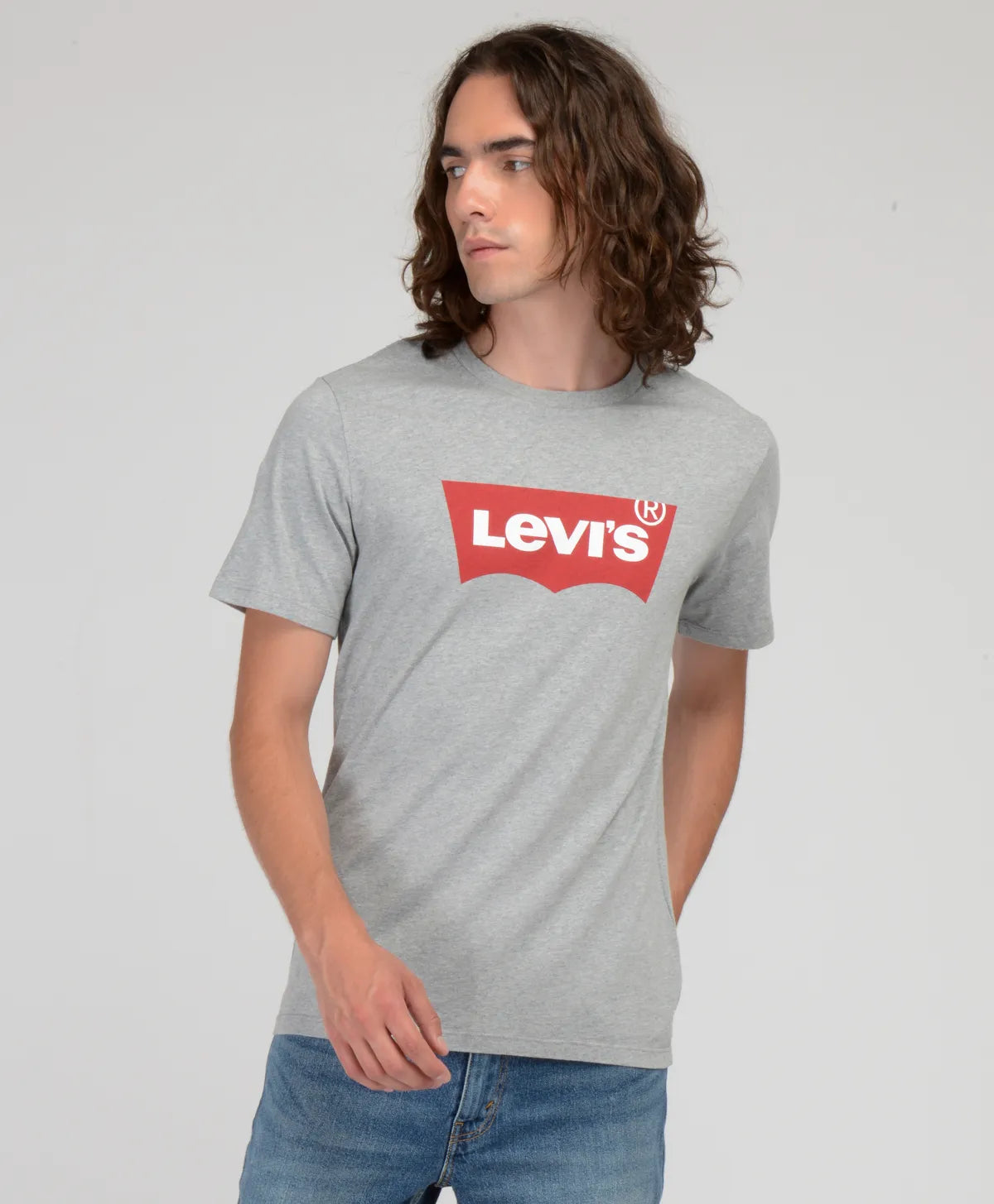 polera-hombre-levi's-lisa-con-logo-gris