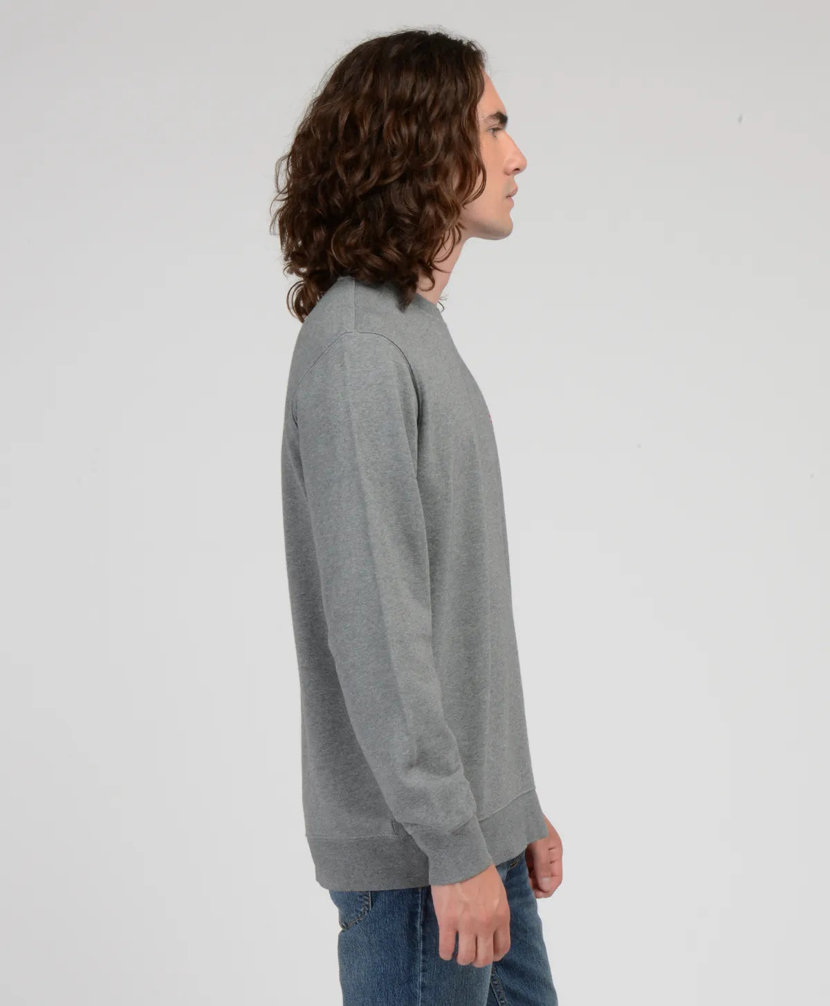 polerón-hombre-cuello-redondo-con-logotipo-mini-batwing-gris