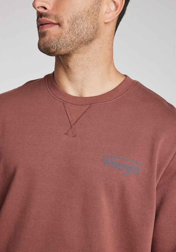 polerón-hombre-graphic-sweatshirt-brown-root