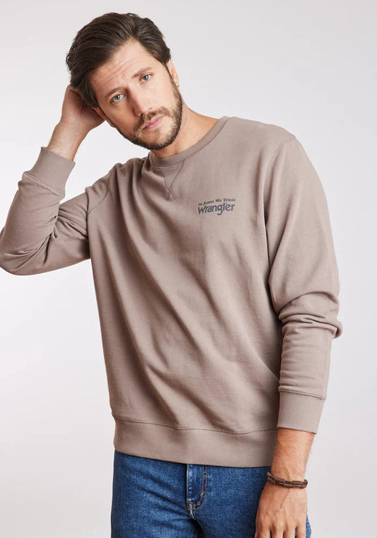 polerón-hombre-graphic-sweatshirt-iron