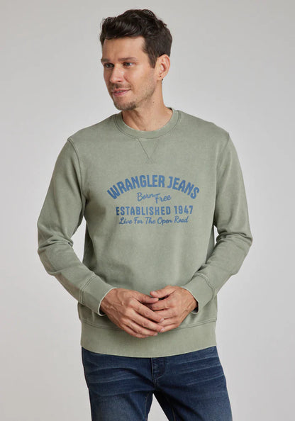 polerón-hombre-graphic-acid-sweatshirt-green-dusty