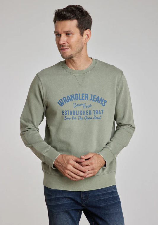 polerón-hombre-graphic-acid-sweatshirt-green-dusty
