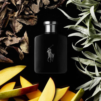 Perfume Hombre Polo black EDT 125 ml