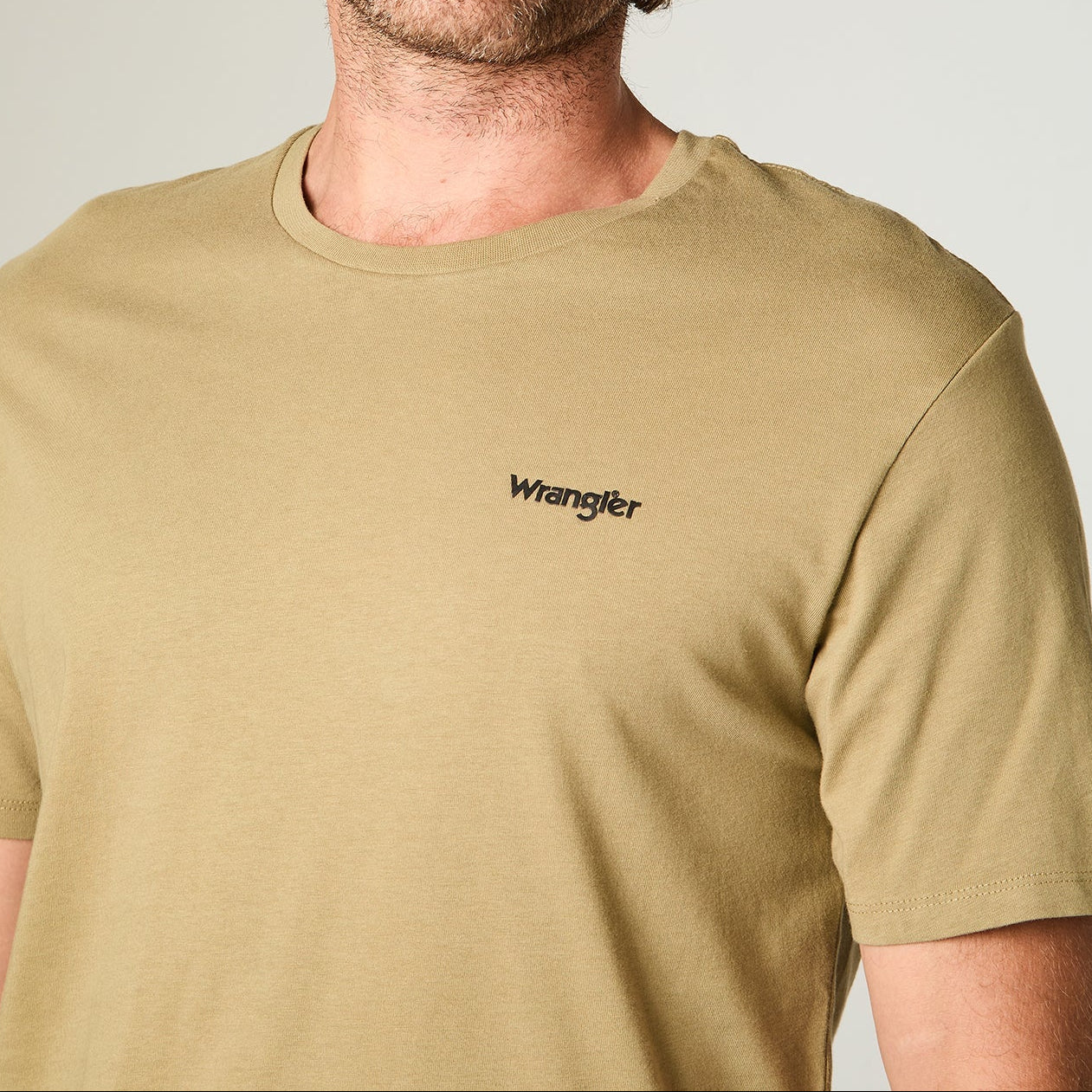 Polera Hombre Manga Corta Graphic Algodón Aloe