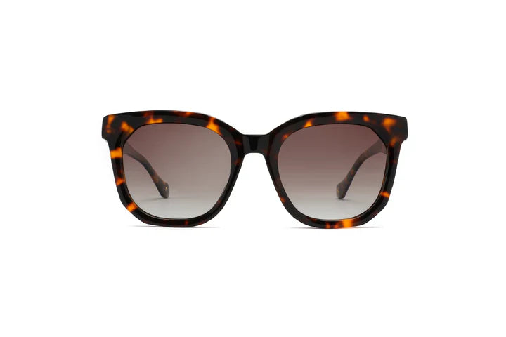 Lente de Sol Mujer Cacharel CA 064 C2 Cafe