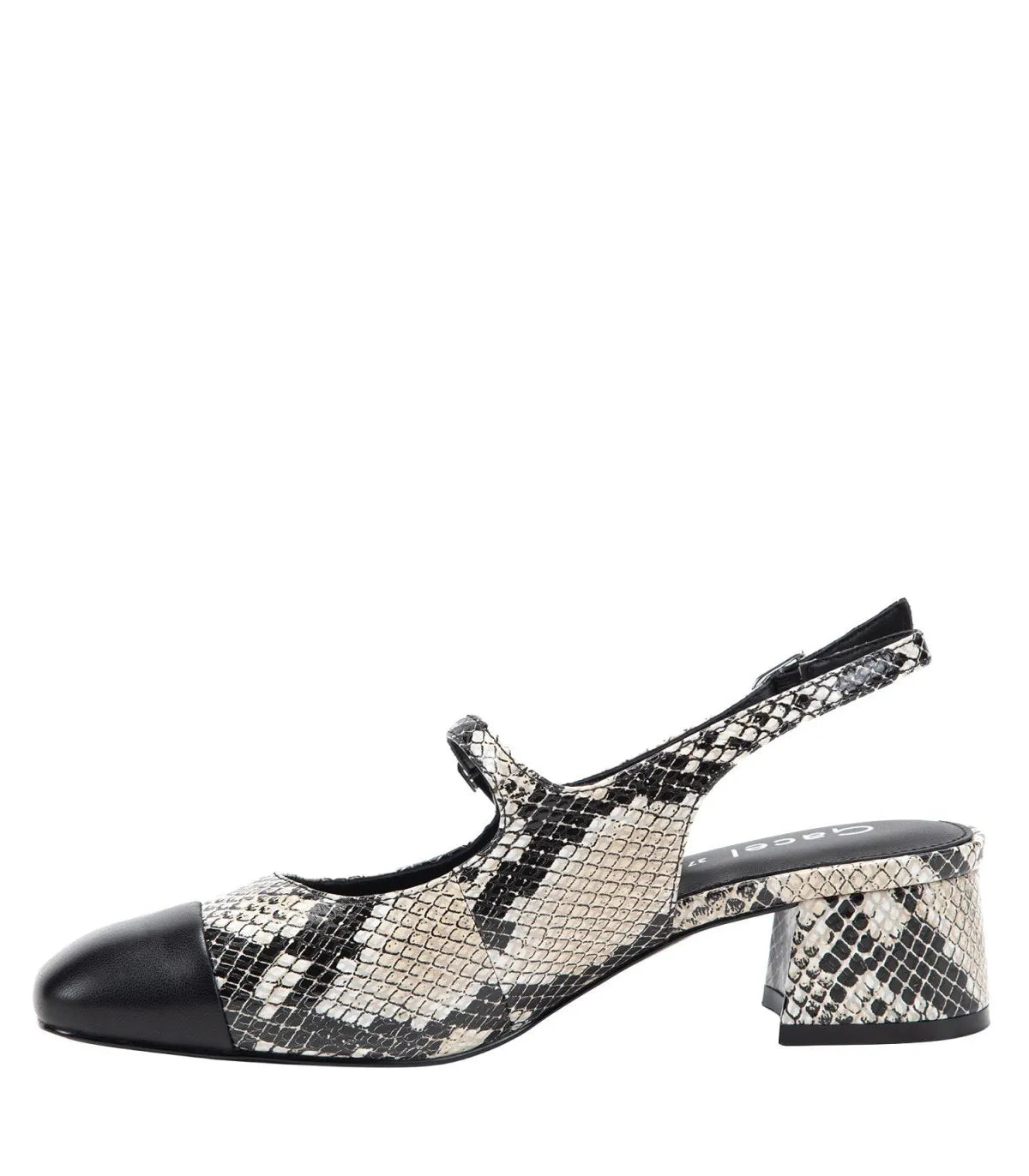 Zapato Mujer Koko Animal Print
