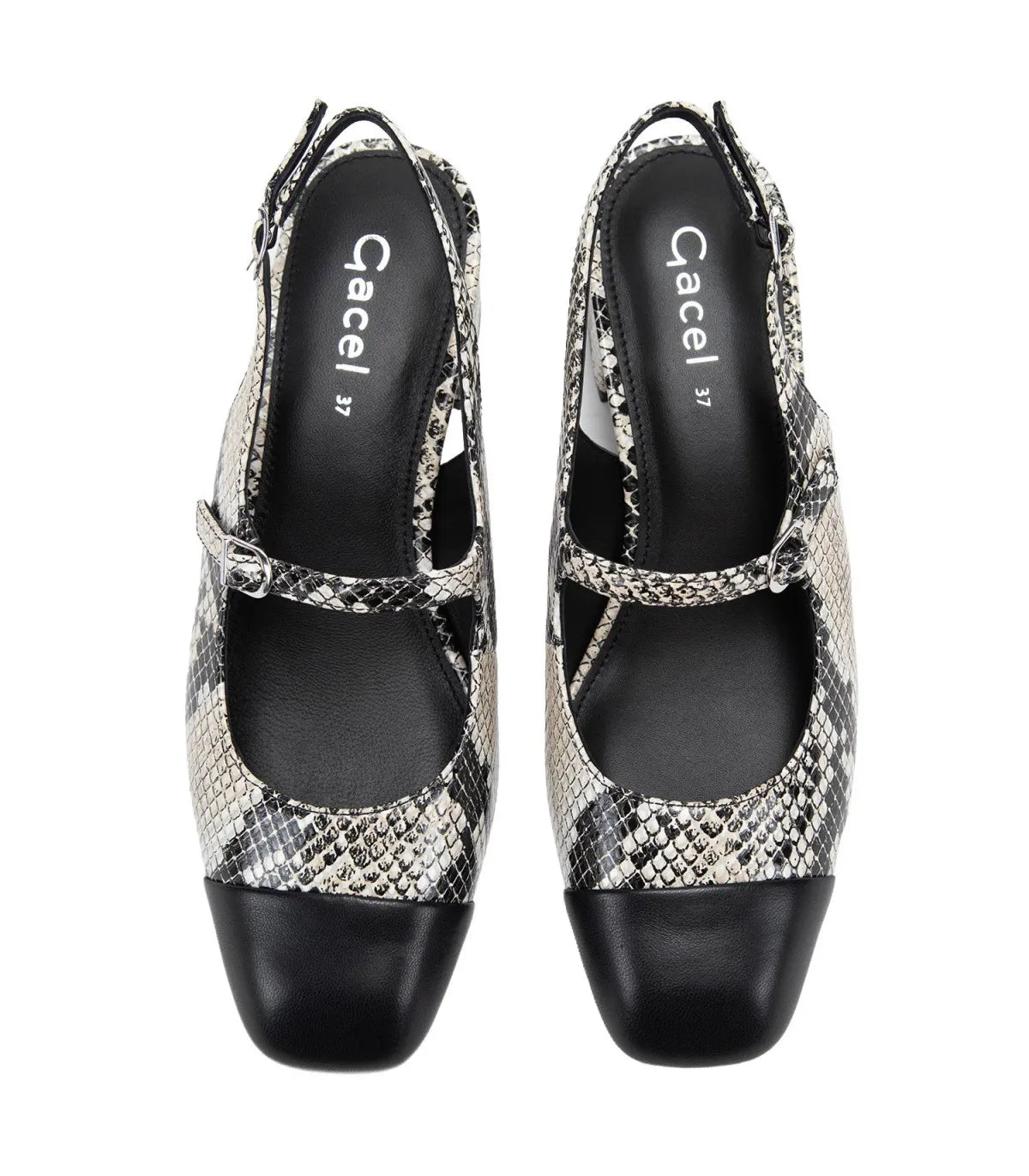 Zapato Mujer Koko Animal Print