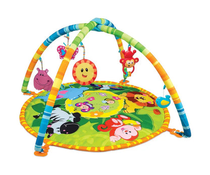 Gimnasio Actividad Jungla