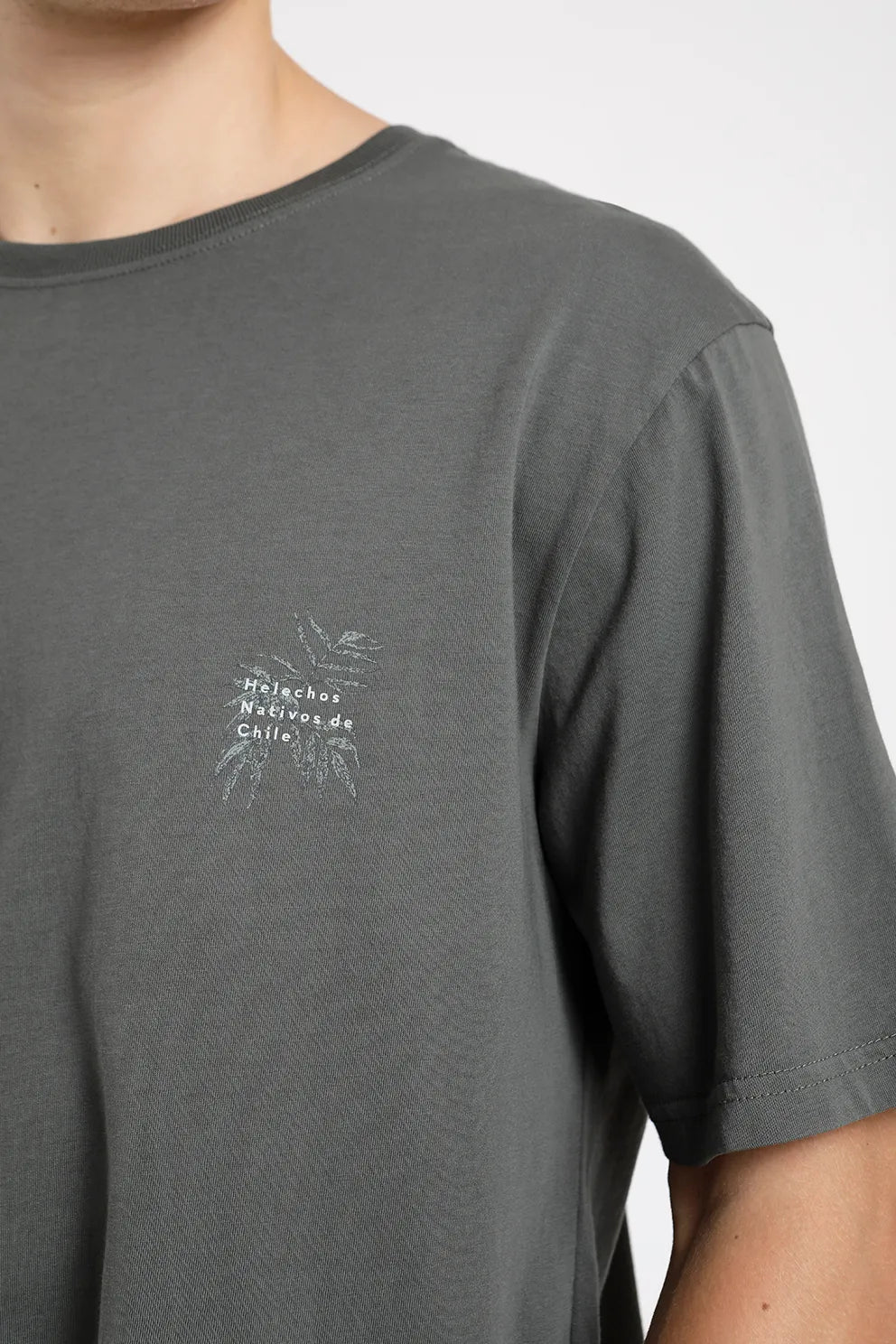 polera-homnre-manga-corta-helechos-verde---algodón-orgánico