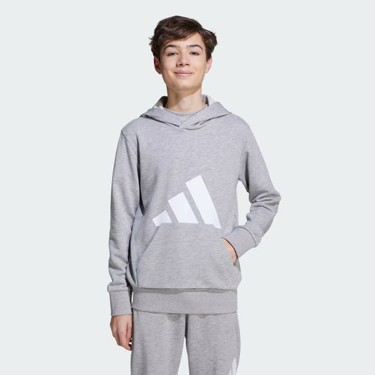 Polerón Niños Capucha Essentials Gris