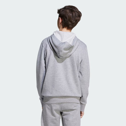 Polerón Niños Capucha Essentials Gris