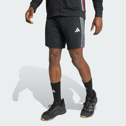 Shorts Workout Essentials All Set