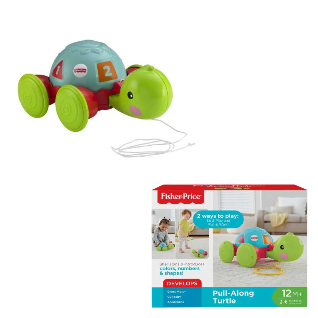 Tortuga De Aprendizaje Fisher Price