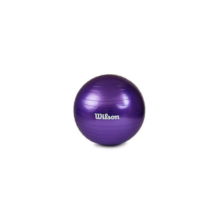 Pelota Yoga/Pilates 55 cm + Bomba