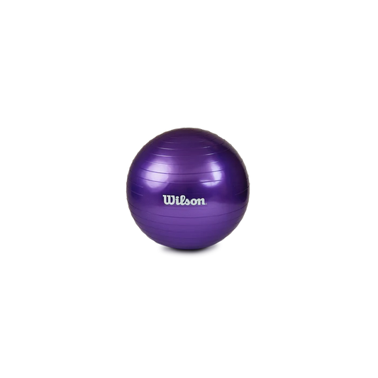 Pelota Yoga/Pilates 55 cm + Bomba