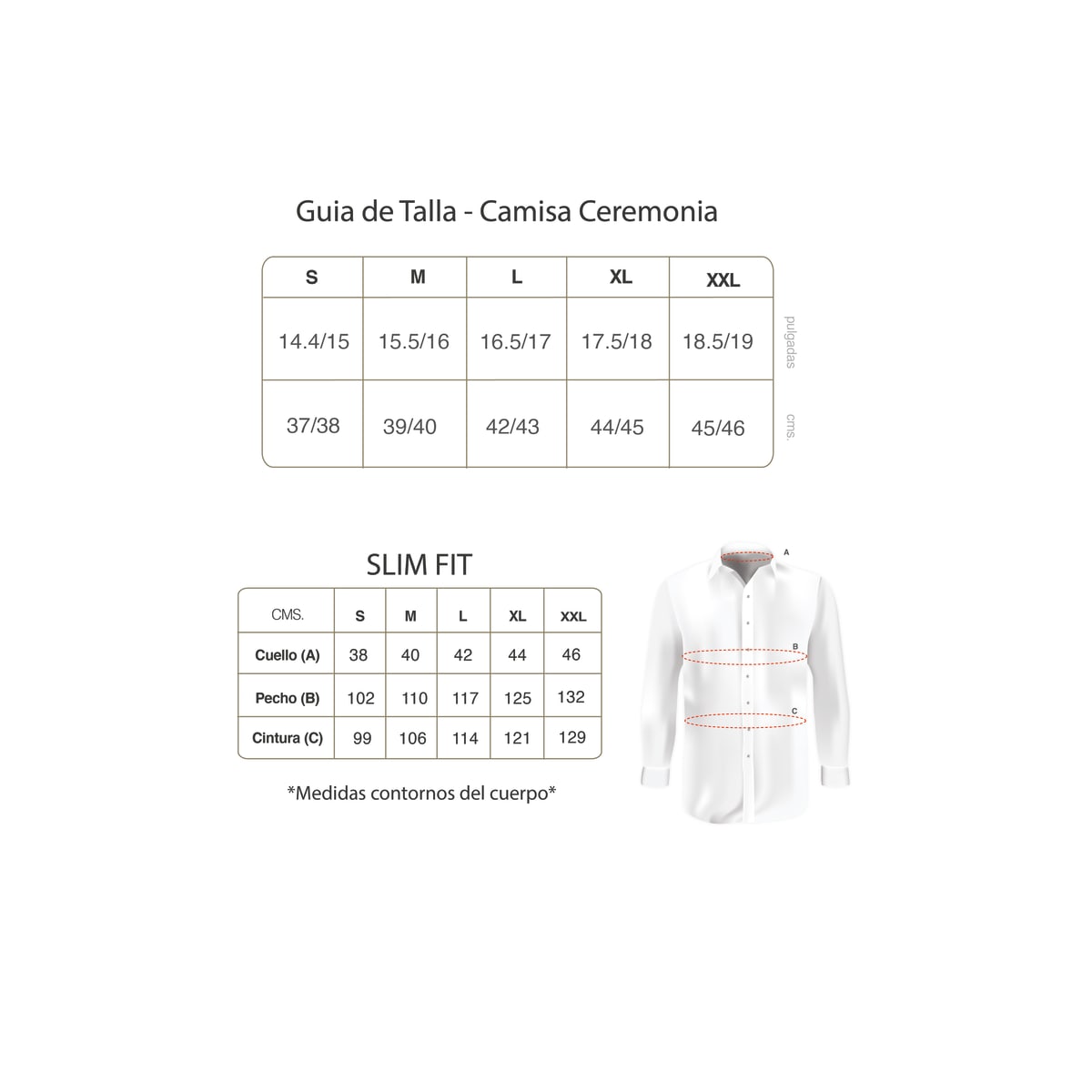 Camisa Hombre Cuello Paloma Blanca