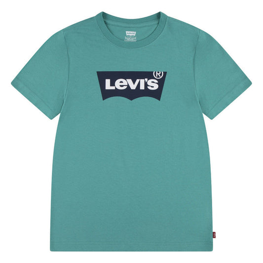 polera-niño-batwing-verde-claro