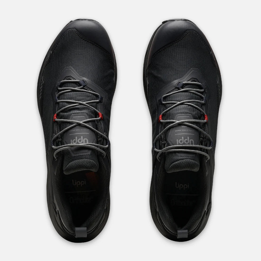 Zapatilla Hombre Atlas Low Negro Rojo