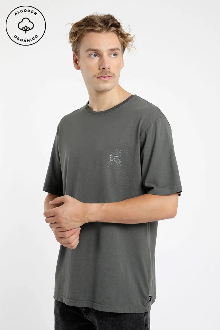 polera-homnre-manga-corta-helechos-verde---algodón-orgánico