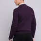 Sweater Hombre Cuello V Morado