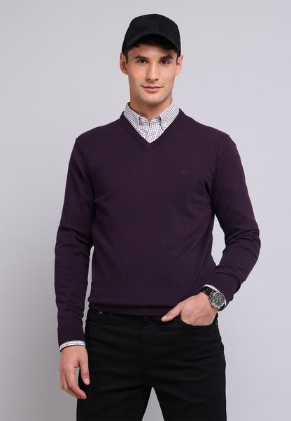 Sweater Hombre Cuello V Morado